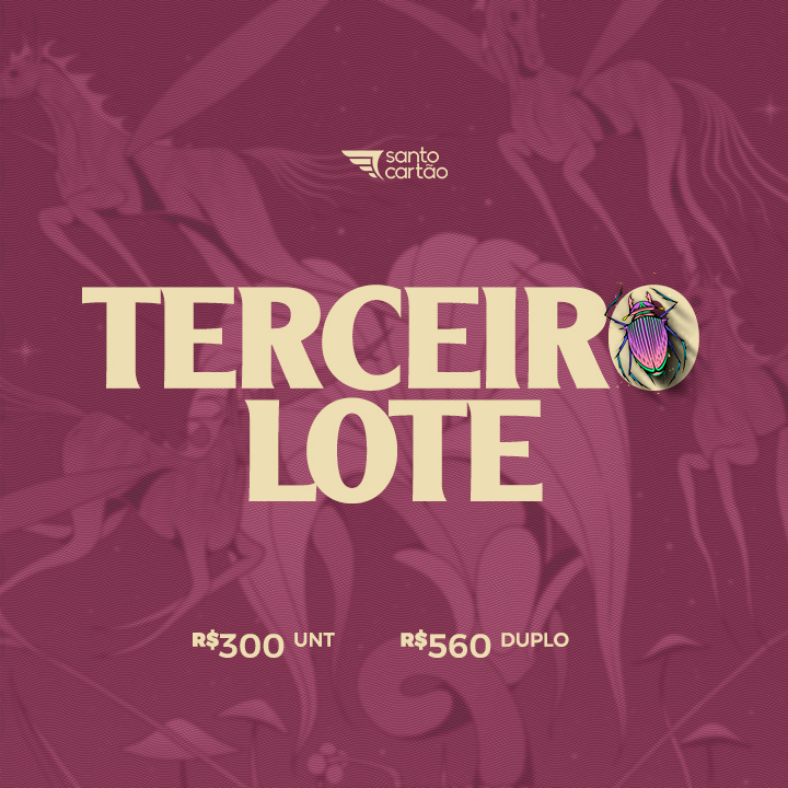 Terceiro lote - R$300,00 UNIT - R$ 550 - DUPLO
